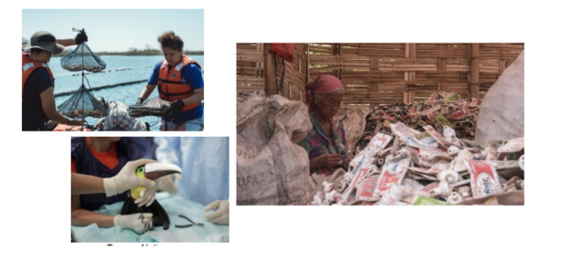 Discovery Science célèbre la journée de la Terre le 22 avril Discovery Science célèbre la journée de la Terre le 22 avril