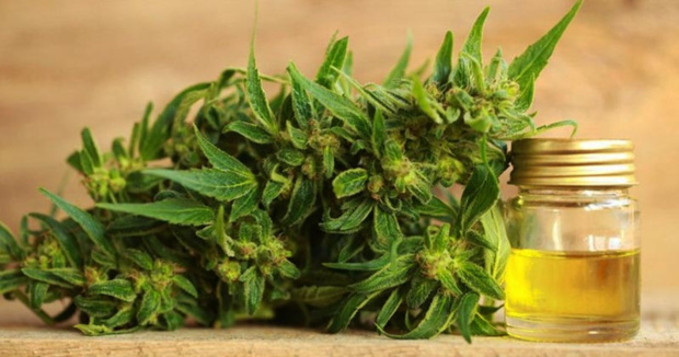 Mais quelle est cette huile de chanvre CBD dont tout le monde parle Mais quelle est cette huile de chanvre CBD dont tout le monde parle