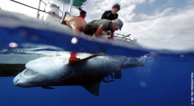 Crédit Photo: TEC Production Crédit Photo: TEC Production