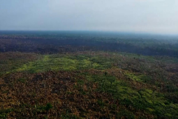 L'amazonie à l'honneur dans un documentaire inédit, écrit et raconté par Fabrice d'Almeida sur le Portail Outre-Mer La 1ère L'amazonie à l'honneur dans un documentaire inédit, écrit et raconté par Fabrice d'Almeida sur le Portail Outre-Mer La 1ère