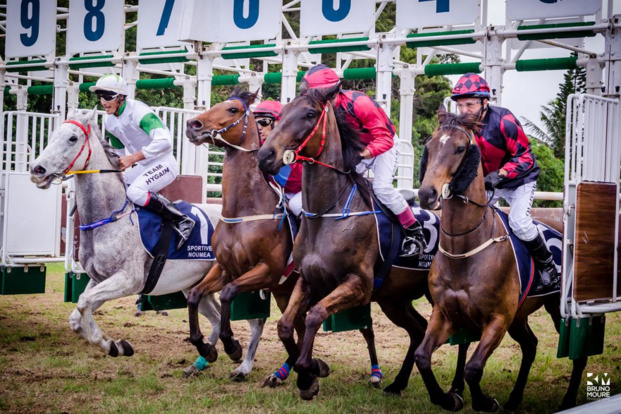 © BMO Bruno-Moure © BMO Bruno-Moure