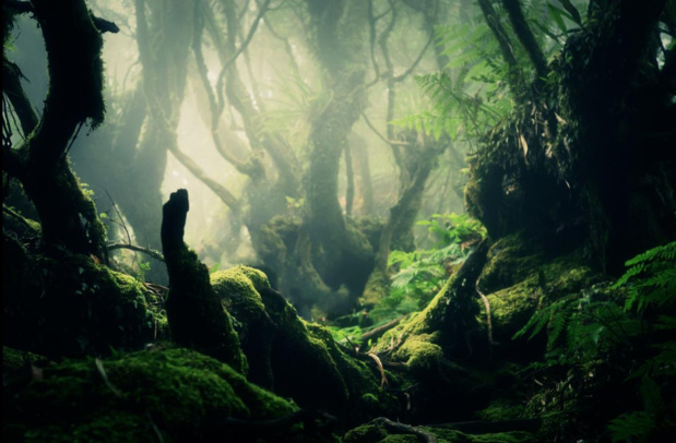 Évènement: Nouvelle-Calédonie La 1ère célèbre le 20 juillet les 20 ans de l'émission ITINÉRAIRES Évènement: Nouvelle-Calédonie La 1ère célèbre le 20 juillet les 20 ans de l'émission ITINÉRAIRES