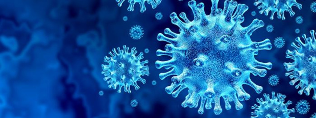 COVID-19: Émission spéciale, la 4ème vague en direct sur les trois antennes de Guadeloupe La 1ère COVID-19: Émission spéciale, la 4ème vague en direct sur les trois antennes de Guadeloupe La 1ère