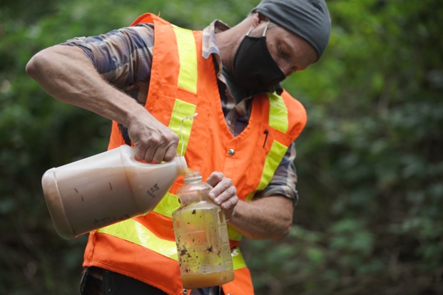 Enquête sur les frelons géants, le 20 août prochain sur Discovery Channel Enquête sur les frelons géants, le 20 août prochain sur Discovery Channel