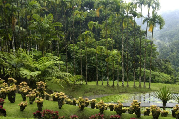 Jardin de Balata Jardin de Balata