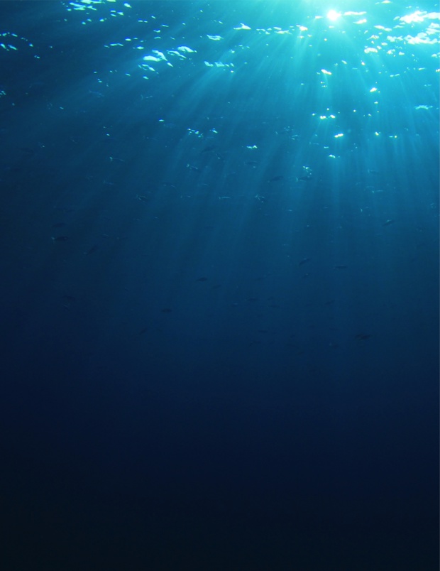 OCETRA : L’expert réunionnais des travaux en mer jette l’ancre à Maurice OCETRA : L’expert réunionnais des travaux en mer jette l’ancre à Maurice