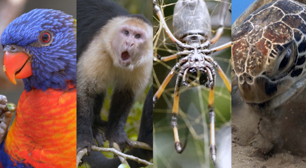 Le Pôle Outre-Mer de France Télévisions se mobilise pour le climat Le Pôle Outre-Mer de France Télévisions se mobilise pour le climat