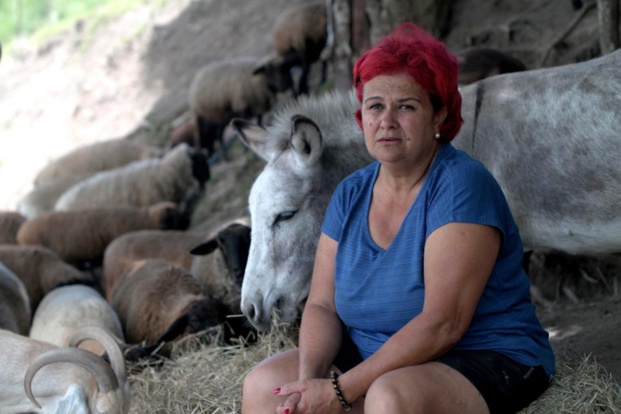 Le programme des fêtes de fin d'année sur les antennes ultramarines de France Télévisions Le programme des fêtes de fin d'année sur les antennes ultramarines de France Télévisions