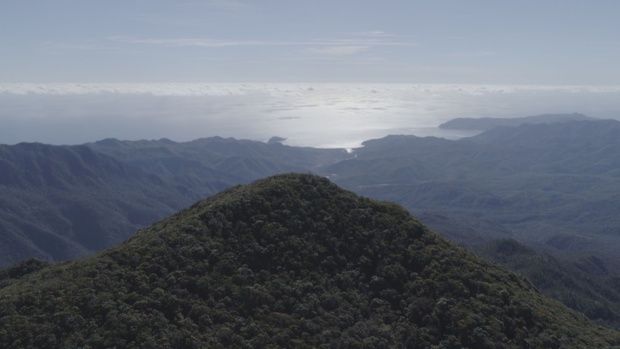 La biodiversité Calédonienne à l'honneur dans la série documentaire "De la crête au tombant" ce jeudi sur Canal+ Calédonie