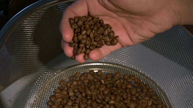 Le café calédonien au coeur d'un film documentaire le 28 février sur France 3 et La1ere.fr Le café calédonien au coeur d'un film documentaire le 28 février sur France 3 et La1ere.fr