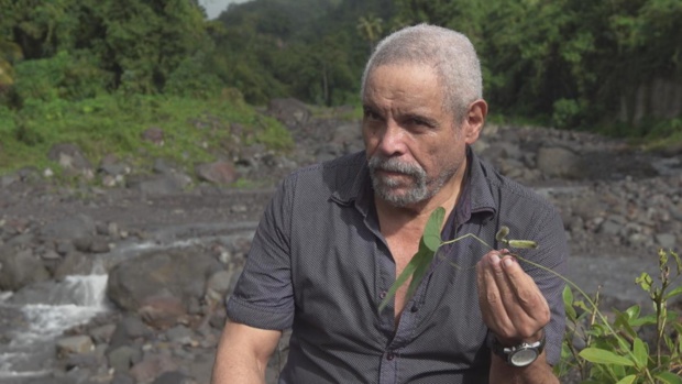 Camera One Télévision / France Télévisions Camera One Télévision / France Télévisions