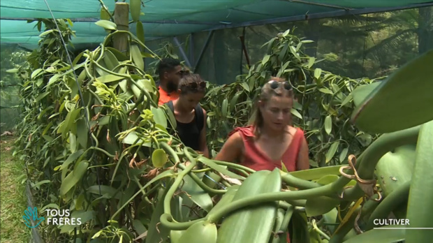 © CFRT.TV © CFRT.TV