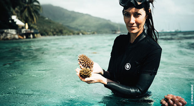 © Ryan Borne © Ryan Borne