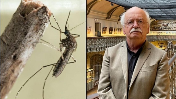 L'histoire de l’homme et du moustique au coeur d'un documentaire évènement avec Erik Orsenna, le 30 mai sur France 3 et le Portail Outre-Mer La 1ère L'histoire de l’homme et du moustique au coeur d'un documentaire évènement avec Erik Orsenna, le 30 mai sur France 3 et le Portail Outre-Mer La 1ère