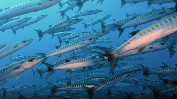 © France Télévisions © France Télévisions