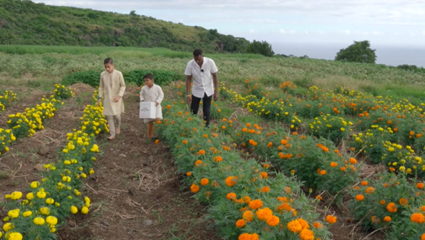 © CFRT.TV © CFRT.TV