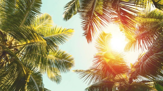 Guyane La 1ère TV en vacances à partir du 4 juillet ! Guyane La 1ère TV en vacances à partir du 4 juillet !