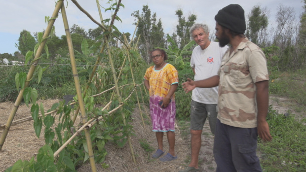 © Nouvelle-Calédonie La 1ère / FTV © Nouvelle-Calédonie La 1ère / FTV
