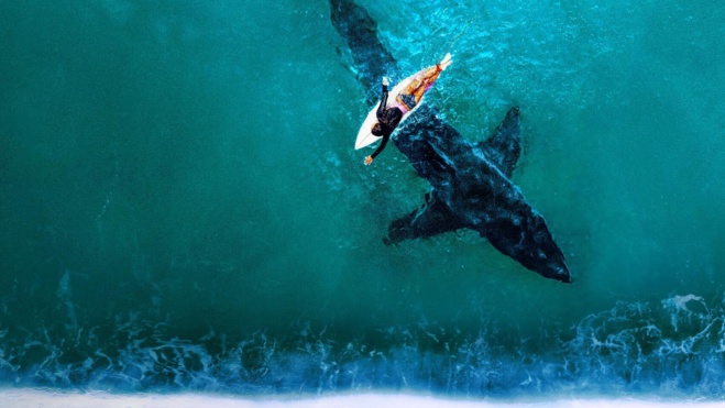 © Discovery Channel © Discovery Channel