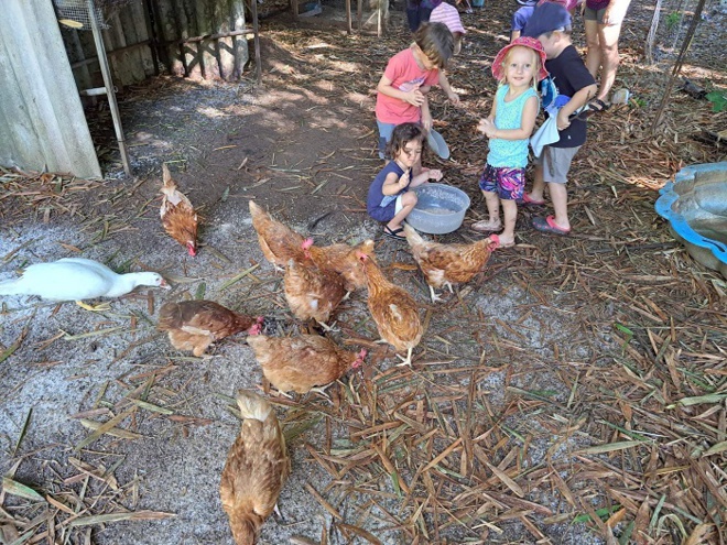 Multiculturelle, environnementale et accessible à tous, l’école Montessori Fare Bambini développe le goût de l'apprentissage et soutien un projet éducatif innovant en Polynésie Française Multiculturelle, environnementale et accessible à tous, l’école Montessori Fare Bambini développe le goût de l'apprentissage et soutien un projet éducatif innovant en Polynésie Française