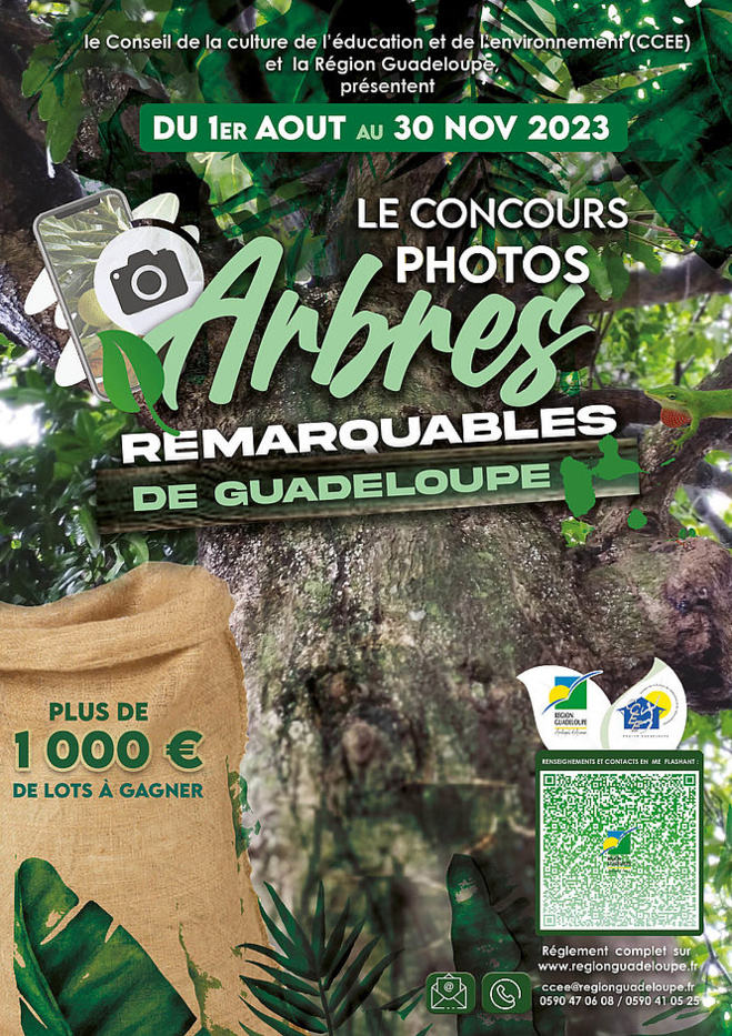Le CEEE et la Région Guadeloupe lancent un jeu-concours photos "Les Arbres Remarquables des Iles de Guadeloupe »