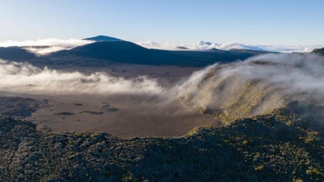 © MediaTV © MediaTV