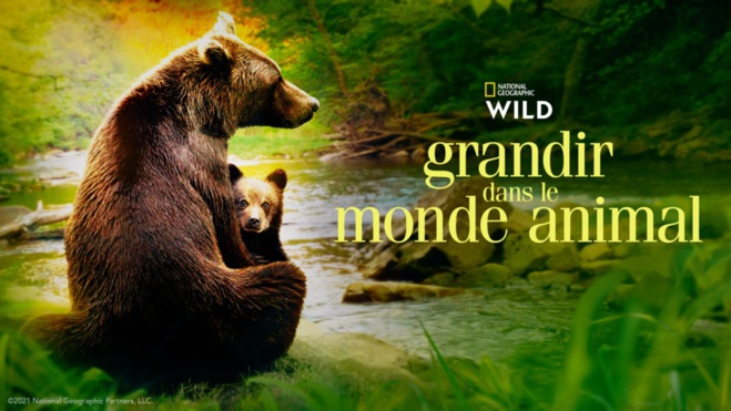 ©2021 National Geographic Partners, LLC ©2021 National Geographic Partners, LLC