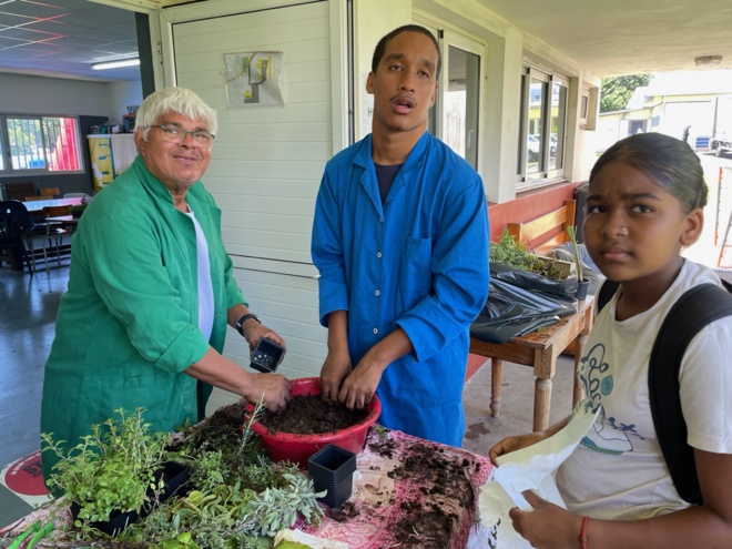 Journée internationale des personnes en situation de handicap : Une journée inclusive à Saint-André Journée internationale des personnes en situation de handicap : Une journée inclusive à Saint-André