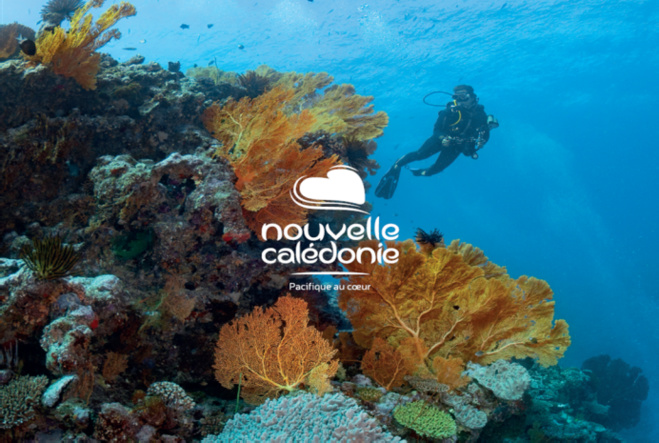 Nouvelle-Calédonie : 24 000 km2 de lagon protégé à découvrir au Salon de la Plongée 2024 ! Nouvelle-Calédonie : 24 000 km2 de lagon protégé à découvrir au Salon de la Plongée 2024 !