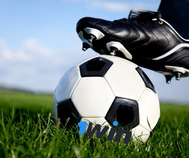 Triomphe des Éléphants: Champions de la CAN 2023 Triomphe des Éléphants: Champions de la CAN 2023