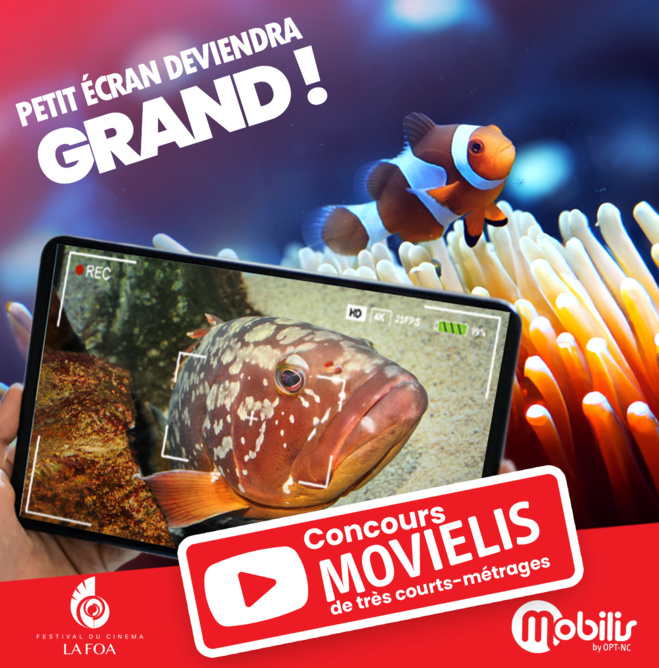 Nouvelle-Calédonie: Le concours Movielis 2024 de retour sur le thème du "tourbillon" (Maj) Nouvelle-Calédonie: Le concours Movielis 2024 de retour sur le thème du "tourbillon" (Maj)