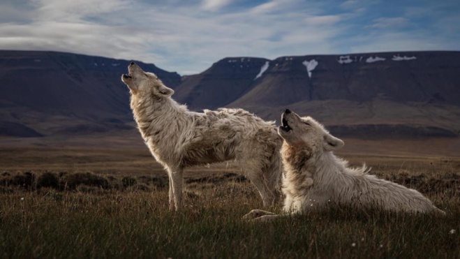 Semaine de la Terre, du 20 au 25 avril sur Nouvelle-Calédonie La 1ère Semaine de la Terre, du 20 au 25 avril sur Nouvelle-Calédonie La 1ère