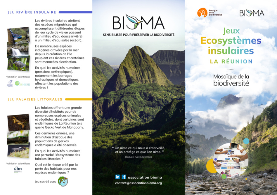 La Réunion : 4 nouveaux jeux péi pour mieux comprendre la biodiversité locale La Réunion : 4 nouveaux jeux péi pour mieux comprendre la biodiversité locale