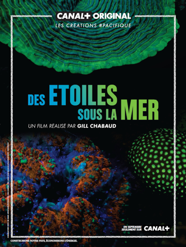 Le mystérieux phénomène de fluorescence des coraux en Nouvelle-Calédonie au coeur d'un documentaire, ce soir sur Canal+ Calédonie Le mystérieux phénomène de fluorescence des coraux en Nouvelle-Calédonie au coeur d'un documentaire, ce soir sur Canal+ Calédonie