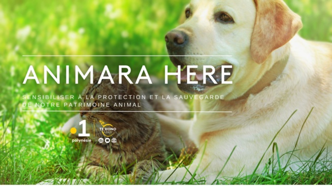 © Polynésie La 1ère © Polynésie La 1ère