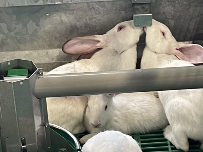 L'alimentation automatique fait partie du dispositif expérimental L'alimentation automatique fait partie du dispositif expérimental