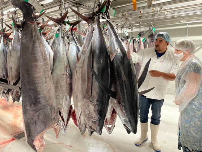 Réunimer : la certification assURE niveau 3, gage de son engagement pour la transition énergétique Réunimer : la certification assURE niveau 3, gage de son engagement pour la transition énergétique