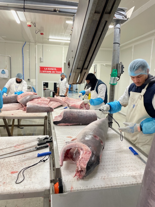 Réunimer : la certification assURE niveau 3, gage de son engagement pour la transition énergétique Réunimer : la certification assURE niveau 3, gage de son engagement pour la transition énergétique