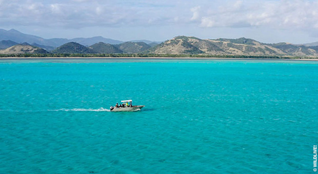 © Wildlive © Wildlive