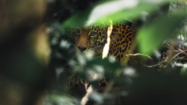 © 13 Prods © 13 Prods