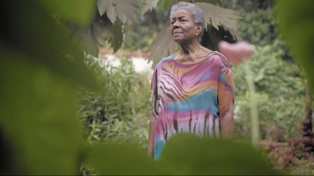 © Wide Productions © Wide Productions