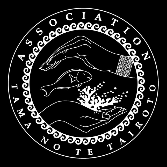 La Polynésie mobilise le monde pour confirmer la grande ponte synchronisée des coraux Porites rus La Polynésie mobilise le monde pour confirmer la grande ponte synchronisée des coraux Porites rus