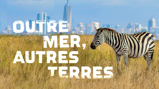 Sept ultramarins en quête d'identité aux quatre coins du monde au coeur de "Outre-Mer, autres terres", le podcast de l'offre numérique ultramarine de France Télévisions Sept ultramarins en quête d'identité aux quatre coins du monde au coeur de "Outre-Mer, autres terres", le podcast de l'offre numérique ultramarine de France Télévisions
