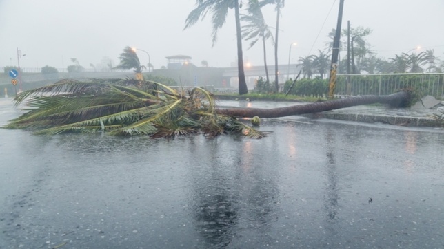 "Les Outre-mer face aux risques naturels majeurs" au sommaire de "Outre-mer, et si on bougeait les lignes ?" dès ce mercredi sur les chaînes La 1ère et les plateformes la1ere.fr et France.tv "Les Outre-mer face aux risques naturels majeurs" au sommaire de "Outre-mer, et si on bougeait les lignes ?" dès ce mercredi sur les chaînes La 1ère et les plateformes la1ere.fr et France.tv