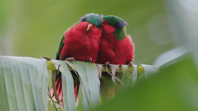 Une rentrée pleine de promesses du côté de Polynésie La 1ère Une rentrée pleine de promesses du côté de Polynésie La 1ère