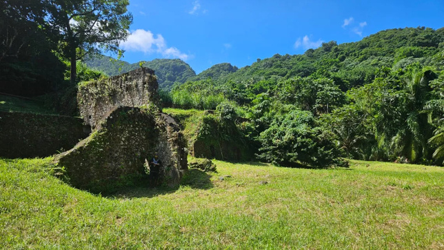 © Martinique La 1ère © Martinique La 1ère