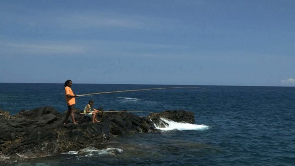 Inédit: "Le jour de la carangue" cet après-midi dans Archipels sur France Ô Inédit: "Le jour de la carangue" cet après-midi dans Archipels sur France Ô