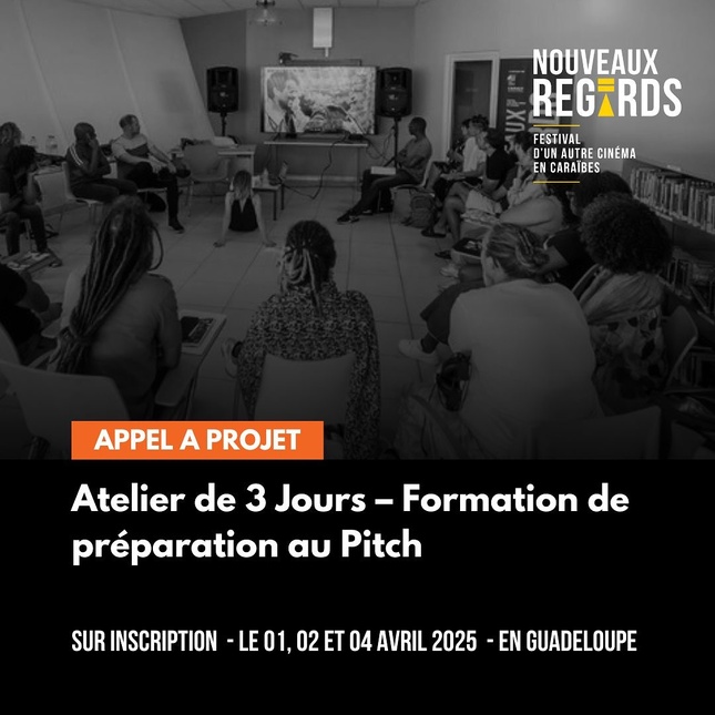 Le Festival Nouveaux Regards lance deux appels à projet Le Festival Nouveaux Regards lance deux appels à projet