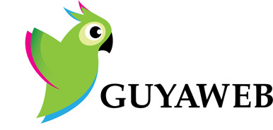 Guyaweb: L'exemple du Pure Player à la guyanaise