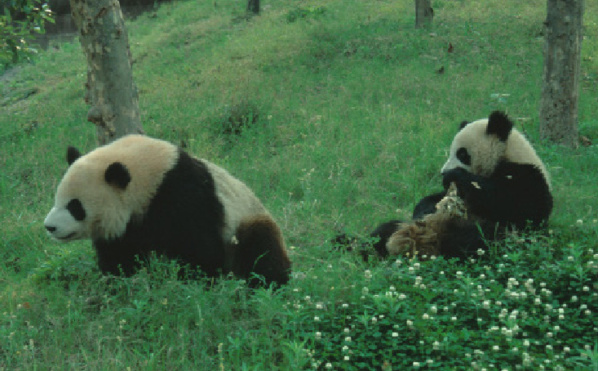 © NHNZ LTD © NHNZ LTD